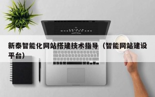 金华新泰智能化网站搭建技术指导（智能网站建设平台）